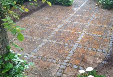 Fliser og brosten før fliserens med alger, belægninger og misfarvninger