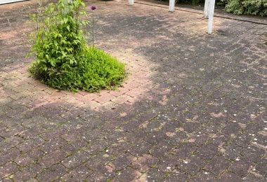 Billedet viser fliser før fliserens, hvor alger, snavs og belægninger har sat sig i overfladen og fugerne. Fliserne fremstår mørke og ujævne før professionel rensning.