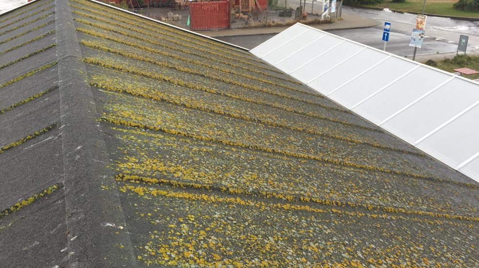 Rensning af tagpap - før