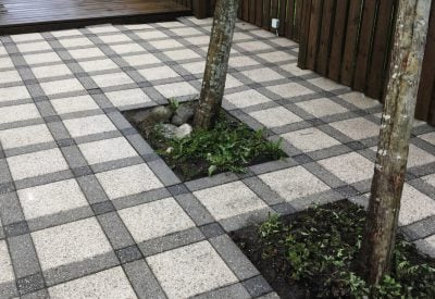 Resultatet efter professionel fliserens – rene fliser omkring træer uden alger og belægninger.