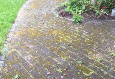 Havegang med fliser angrebet af mos og ukrudt før rensning.