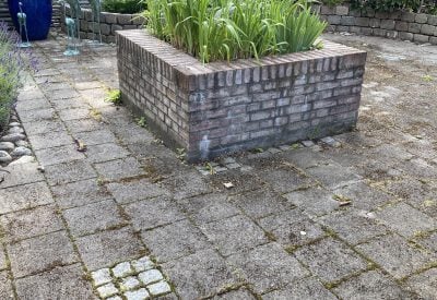 Fliser med alger og mos omkring bed og mur