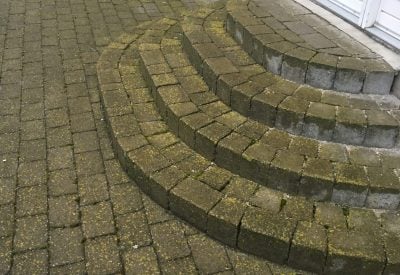 Flisetrappe med grønne alger foran hvid hoveddør i Hørsholm før rensning