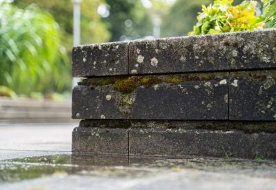 Muret højbed i mørke sten med mos og snavs i Taastrup før rensning