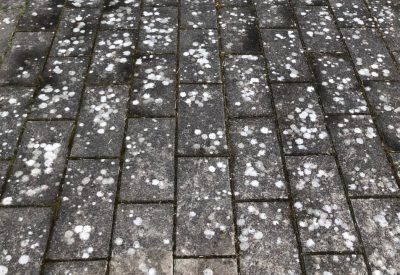 Flisebelægning med lyse lavpletter og alger i Haslev inden fliserens