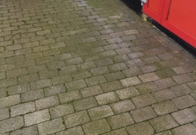 Algegrøn flisegang med røde sten ved indgang i Hørsholm før fliserens