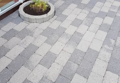 Renset flisebelægning omkring rund plantekumme i Taastrup efter fliserens